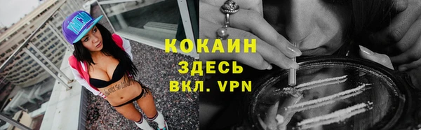 соль ск Алексин