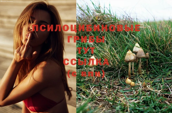 крисы Абинск