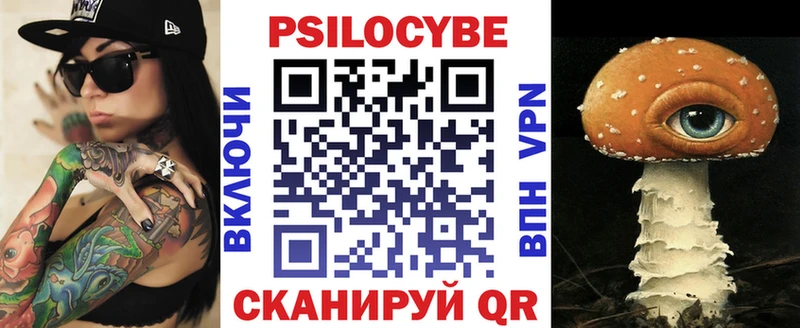 как найти закладки  Кызыл  Галлюциногенные грибы Psilocybe 